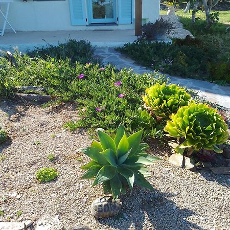 Lispusada Agriturismo Adults Only Biancareddu Екстериор снимка