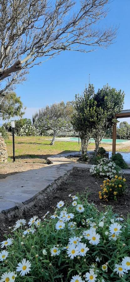 Lispusada Agriturismo Adults Only Biancareddu Екстериор снимка