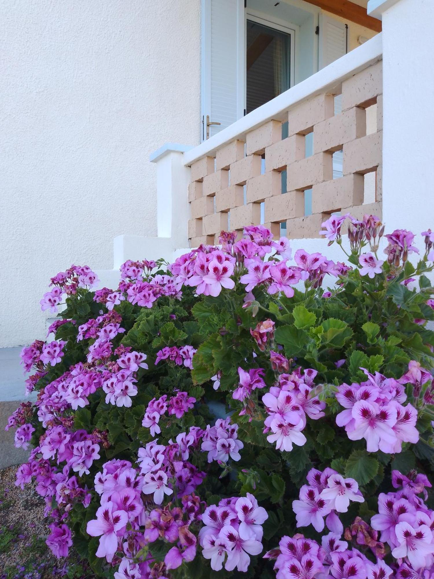Lispusada Agriturismo Adults Only Biancareddu Екстериор снимка